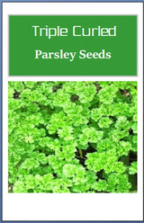 Customer photo of Triple Curled Parsley Seeds - Non-GMO Heirloom