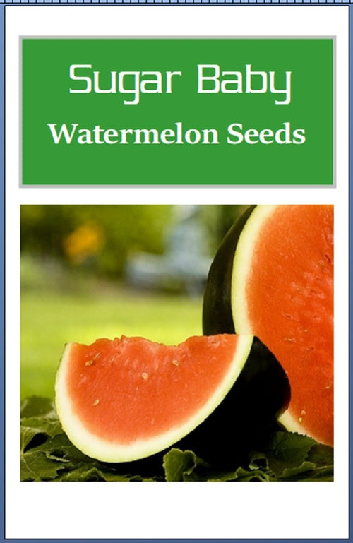 Sugar Baby Watermelon Seeds | NON-GMO Watermelon Seeds | Heirloom Garden Seeds