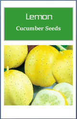 Customer photo of Lemon Cucumber Seeds - Non-GMO Heirloom