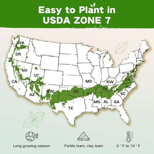 Lush&Dew Year-Round USDA Zone 7 Seed Bank, Gift for Mom Dad, 32 Varieties Non-Gmo Heirloom Seeds of Vegetables Flowers, Gardening Gifts for Women Men, Survival Kit for Raised Garden Bed Greenhouse