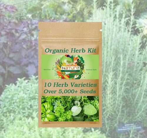 Herb Seed Kit - over 5,000+ Seeds - 10 Herb Varieties - Organic & Non Gmo Herb Seeds - Heirloom Seeds – Herb Seeds - USA Garden Seeds