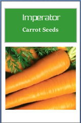 Customer photo of Imperator Carrot Seeds - Non-GMO Heirloom