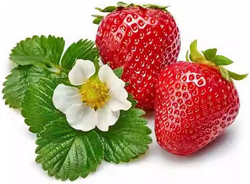 300PCS Giant Strawberry Seeds Everbearing Fragaria Fruit Seeds