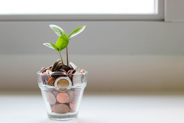 How to Start Prepping with $100 — The Beginner Budget Guide