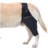 Customer photo of Dog Rear Leg Brace - ACL & Arthritis Support