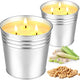 Citronella Candles - 2 Pack, 200 Hour Burn