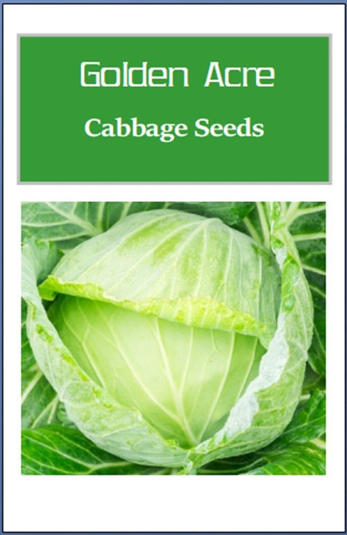 Golden Acre Cabbage Seeds | NON-GMO Cabbage Seeds | Fresh Heirloom Garden Seeds