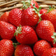 Everbearing Strawberry Seeds - 300 Count