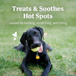 Hot Spot Skin Remedy for Dogs, 4 Oz