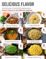 Emergency Food Supply - 104 Servings Variety Pack Bucket, Protein Meals, Dehydrated & Freeze Dried Food for Backpacking, Camping Essentials & Prepping Supplies, up to 25 Year Shelf Life | PrepWiseGear
