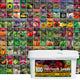 100-Pack Heirloom Vegetable Seeds - Non-GMO Survival