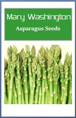 Mary Washington Asparagus Seeds | NON-GMO Asparagus Seeds Heirloom Garden Seeds