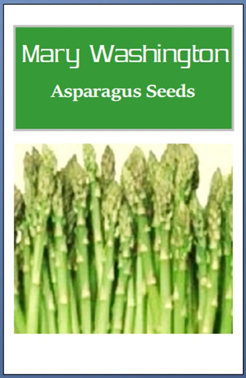 Mary Washington Asparagus Seeds | NON-GMO Asparagus Seeds Heirloom Garden Seeds