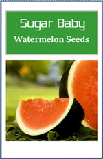 Sugar Baby Watermelon Seeds | NON-GMO Watermelon Seeds | Heirloom Garden Seeds