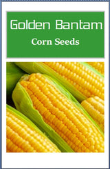 Customer photo of Golden Bantam Corn Seeds - Non-GMO Heirloom