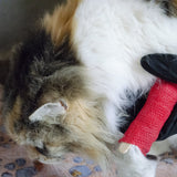 Customer photo of Compact Pet First Aid Kit - 53 Piece with Guide