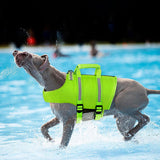 Customer photo of Dog Life Vest - XS, Reflective with Handle