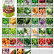35-Variety Heirloom Seed Vault Kit