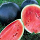 Black Diamond Watermelon Seeds - Non-GMO Heirloom