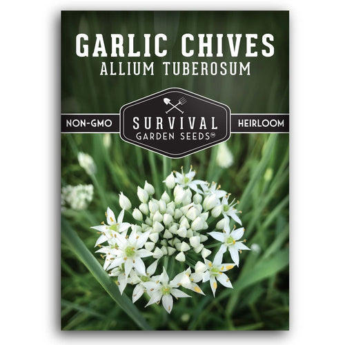 Garlic Chives Seeds - Non-GMO Heirloom