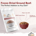 Freeze-Dried Ground Beef – Pre-Cooked and Ready-To-Eat Hamburger Meat | Everyday Meal Prep, Emergency Food Supply, Camping and Survival Food | 10 Servings per Pouch | Made in USA | 7-Year Shelf Life | Pack of 1 | PrepWiseGear