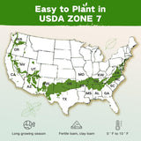 Customer photo of Lush&Dew Year-Round USDA Zone 7 Seed Bank