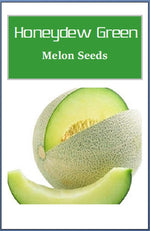 Honeydew Green Melon Seeds | Heirloom Melon Seeds | Fresh NON-GMO Garden Seeds