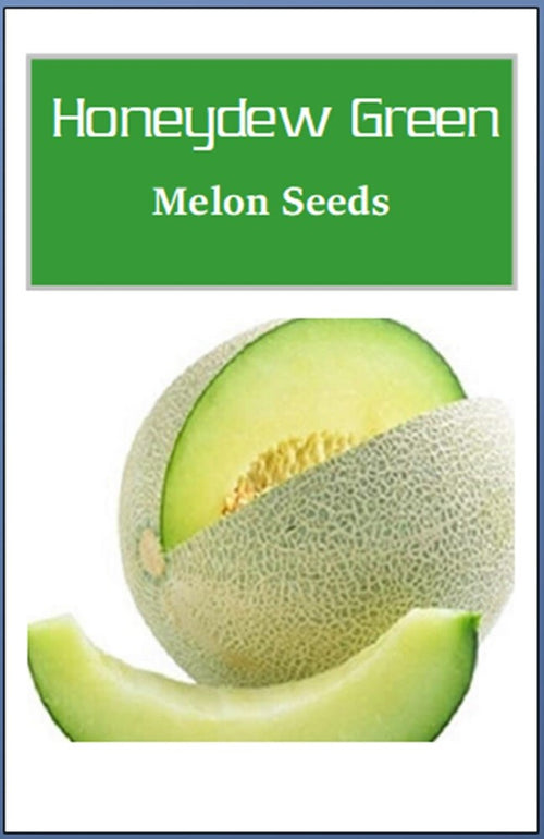 Honeydew Green Melon Seeds | Heirloom Melon Seeds | Fresh NON-GMO Garden Seeds