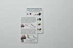 Tick Removal Kit, Precision Stainless Steel Tools, Carry Case, Tick ID Card, Removes All Tick Species and Sizes. Dog, Deer, Lone Star Ticks and Others Meet Their Match with This Premium Set