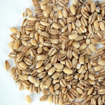 Organic Pearled Barley (Hulled) - 30 Lb Re-Sealable Bucket - Barley Grains for Flour, Bread, Beer Making Animal Feed, Food Storage & More | PrepWiseGear