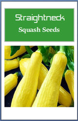 Customer photo of Straightneck Squash Seeds - Non-GMO Heirloom