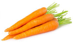 Freeze Dried Long Shelf Storage Emergency Food Vegetable Variety - 12 Cans | PrepWiseGear