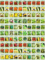 100 Assorted Heirloom Vegetable Seeds 100% Non-Gmo (100, Deluxe Assorted Vegetable Seeds)