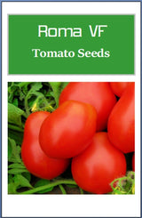 Customer photo of Roma VF Tomato Seeds - Non-GMO Heirloom