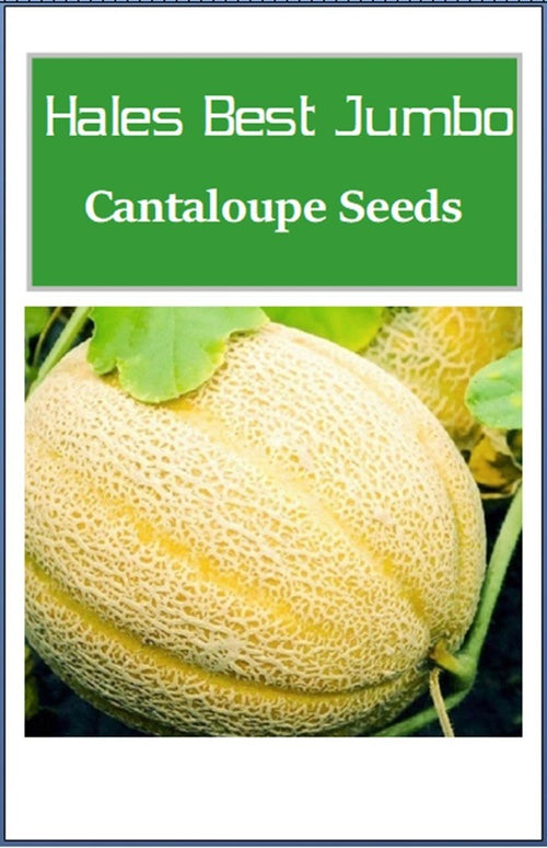 Hales Best Jumbo Cantaloupe Seeds | NON-GMO Cantaloupe Seeds | Heirloom Seeds