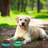Customer photo of Foldable 2-in-1 Dog Travel Bowl with Clip
