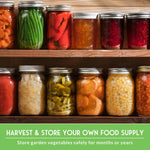 100 Pack Farmer Kit Vegetable Seeds - Non GMO Heirloom Full Sun Annual - Emergency Seed Bank Survival Gear | PrepWiseGear